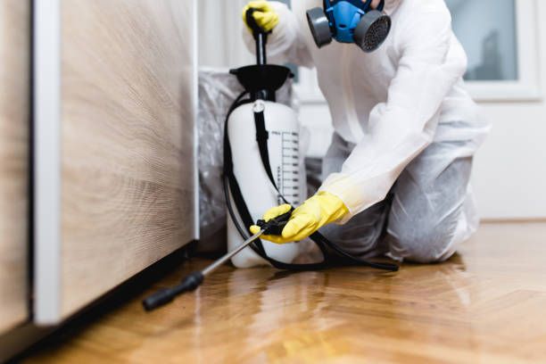 Best Affordable Pest Control Services  in Hobart, IN
