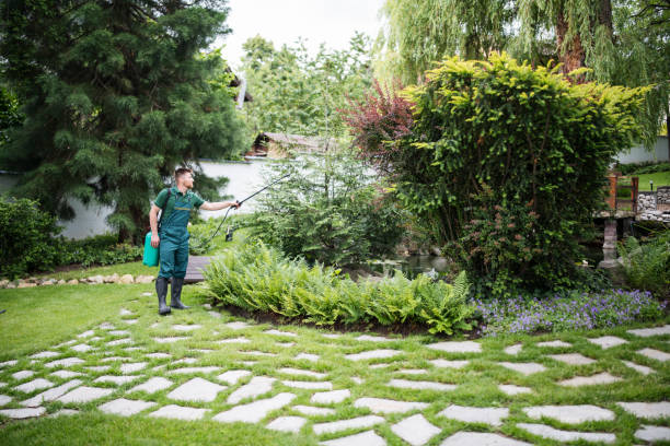 Wasp Removal Services in Hobart, IN