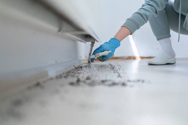 Best Pest Removal Services  in Hobart, IN