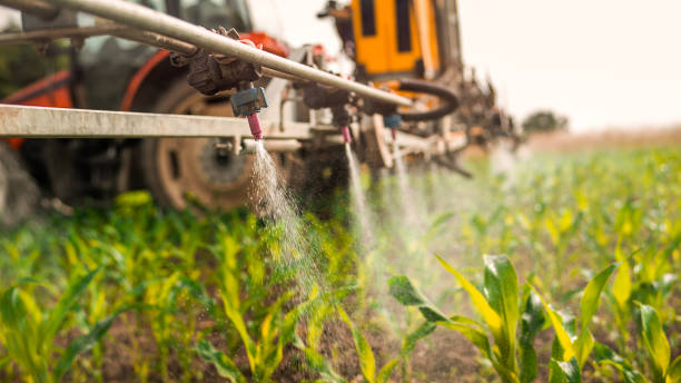 Best Commercial Pest Control Services  in Hobart, IN